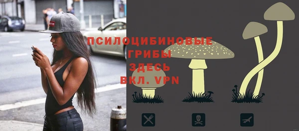 ешки Алзамай