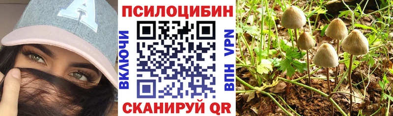 hydra сайт  Далматово  Псилоцибиновые грибы MAGIC MUSHROOMS  где купить наркоту 